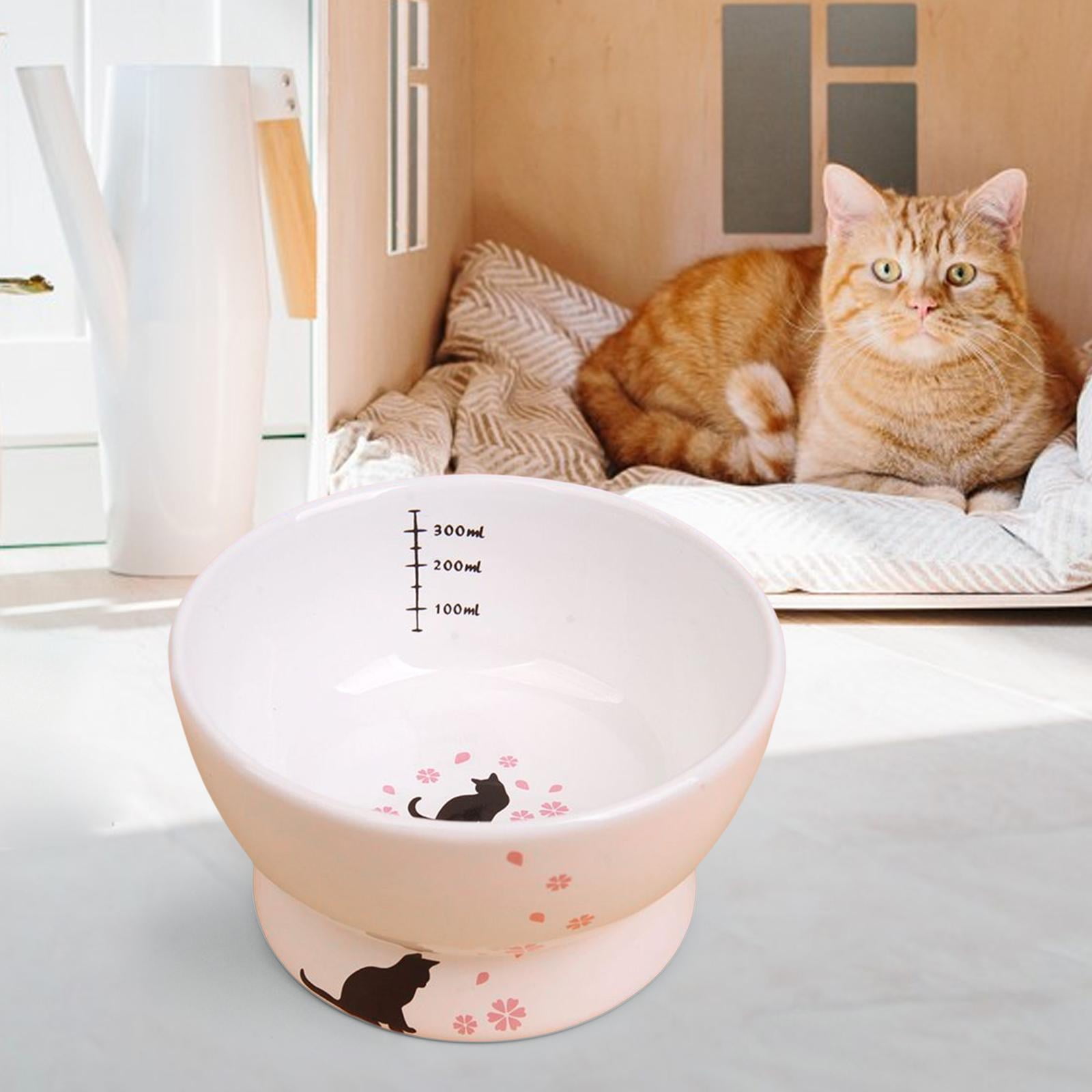 Raised Cat Bowl Ceramic Water Bowl Anti Slip Food Container Tilted