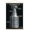 Premium Print and Beechwood Hanger Bundle, variant on NHL League - Stanley Cup 16 Wall Poster with Push Pins, 14.725" x 22.375"