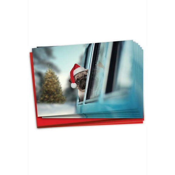 B6481DXSG Holiday Doggie In The Window Christmas Cards' Pack of 12 Hilarious Merry Christmas Notecards with Envelopes by NobleWorks