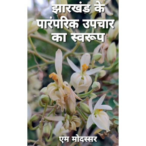 Jharkhand Me Paramparik Upchar Ka Swaroop / झारखंड में प, (Paperback)