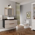 thumbnail image 3 of DeerValley DV-1F52508 Dual Flush Elongated One-Piece Toilet (Seat Included), 3 of 7
