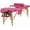 Pink, variant on Wangbujianwang 24-inch Wide Portable Massage Table, Adjustable Salon Spa Bed with Carrying Case, Pink, Foldable for Professional Use