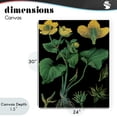 thumbnail image 4 of Stupell Industries French Country Marsh Marigold Illustration Study Canvas Art, 24 x 30, by Vintage Hustle, 4 of 8