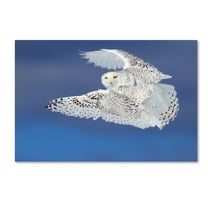Jim Cumming 'Flight Of The Snowy Snowy Owl' Canvas Art