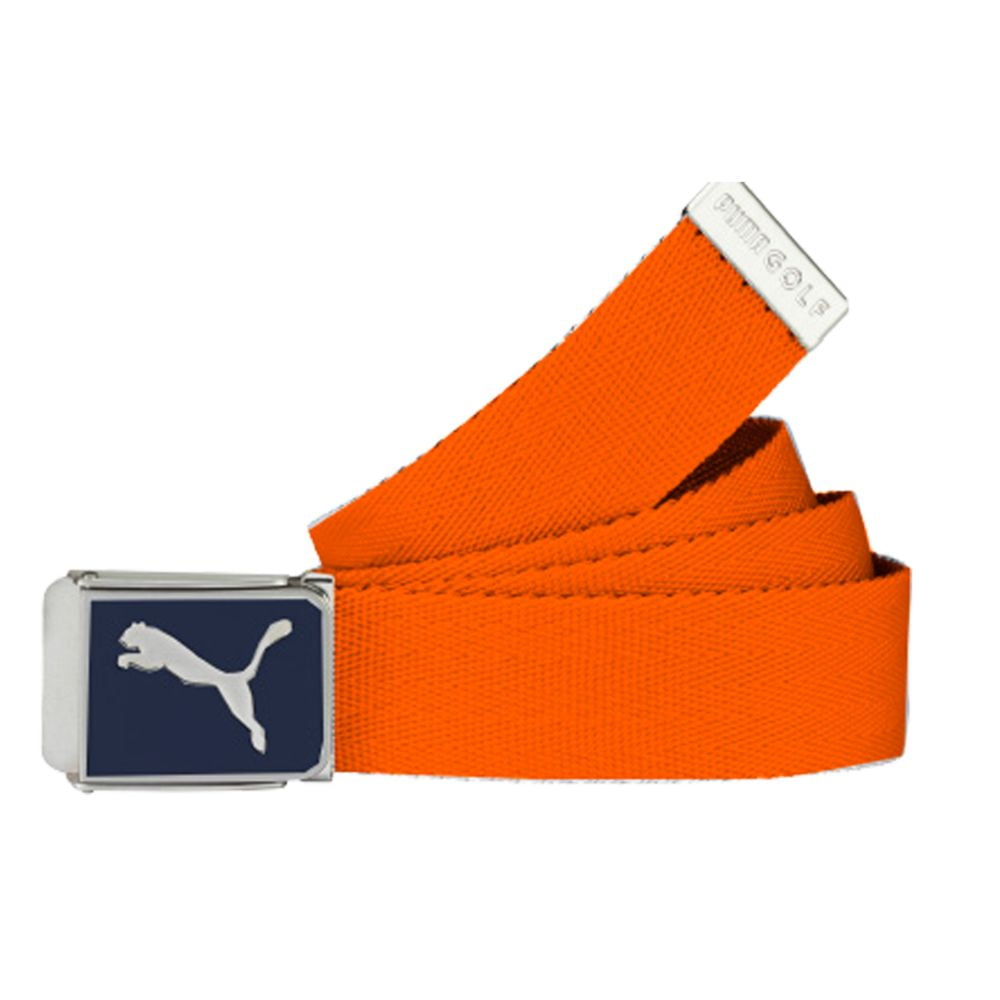 puma web belt