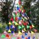 thumbnail image 5 of 100m Bunting Banner, Multicolor Flag Banners With 200 Pcs Triangle Flags, Nylon Fabric Bunting Banners For Birthday, Wedding, Outdoor, Indoor Activity, 5 of 5