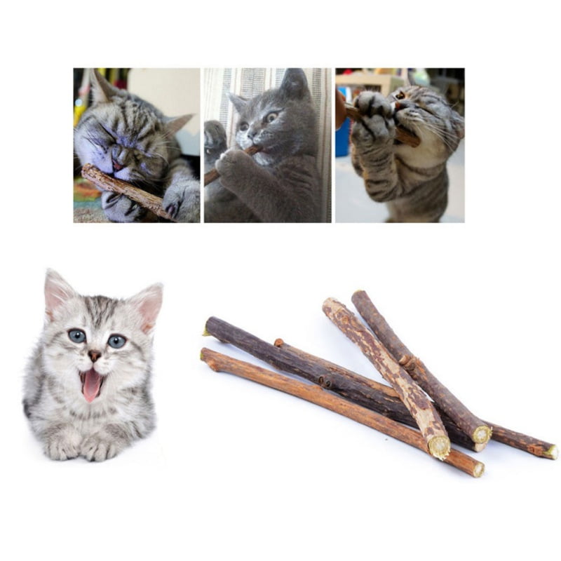 10Pcs Pet Cat Natural Matatabi Stick Dental Silvervine Catnip Chew Sticks Treat Toy Set