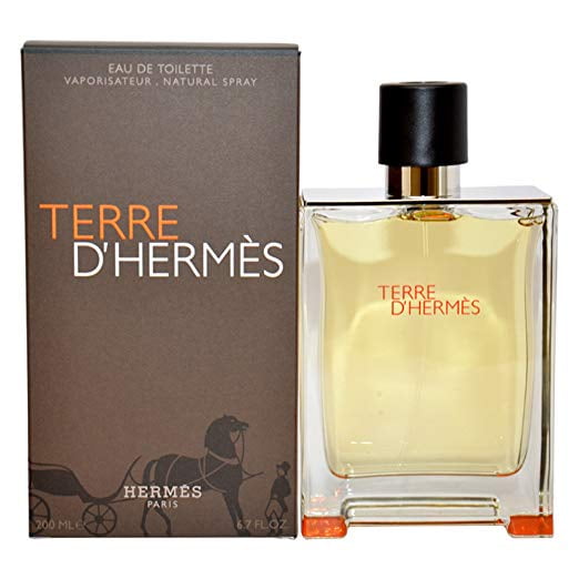 Terre D'hermes By Hermes Eau De Toilette Spray 6.7 oz