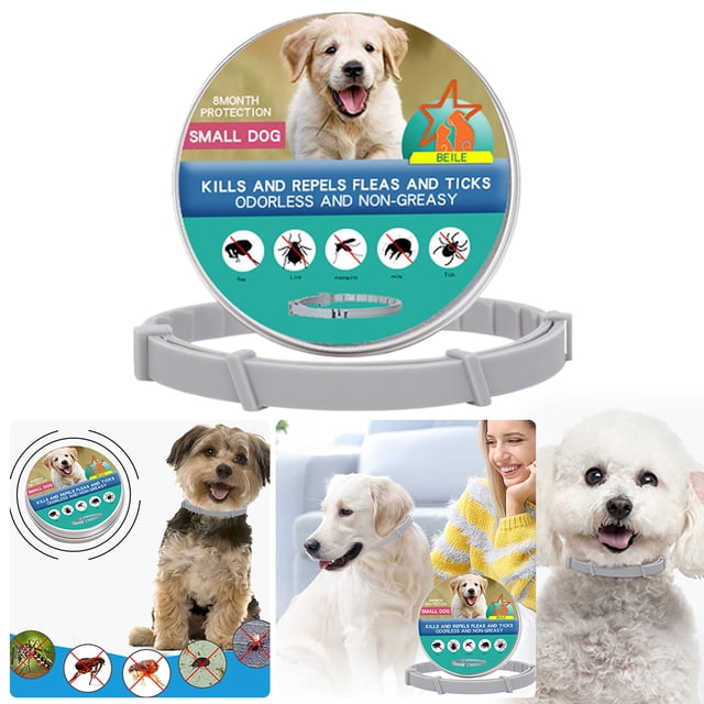 Collar Repelente para Collar Antimosquitos Y Pulgas Correa para Y Gatos Collar Contra Pulgas Y Garrapatas (perro Pequeño en Caja 38 Cm) Perro Perro Pequeño/en Caja