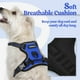 thumbnail image 2 of Arnés para perros Rabbitgoo, ajustable, sin tirones, azul deslumbrante, XS, 2 of 8