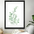 thumbnail image 3 of Giant Art 24x36 Eucalyptus I Matted and Framed in White, 3 of 3