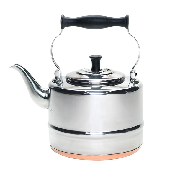 BonJour Tea Stainless Steel and Copper-Base Gooseneck Teapot / Teakettle, 2-Quart