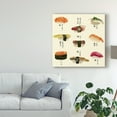 thumbnail image 3 of Trademark Fine Art 'Sushi I' Canvas Art by Melissa Wang, 3 of 4
