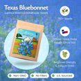 thumbnail image 4 of Texas Bluebonnet Seeds, 750+ Wildflower Seeds, Texas State Flower - Created By Nature, 4 of 6