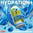 thumbnail image 5 of Vitamin Energy Hydration+ Energy Shot – Blue Raspberry – Electrolytes, BCAAs & 260mg Plant-Based Caffeine – Zero Calories, Sugar-Free, Vegan – Hydration & Performance Support – 1.93 fl oz, 12-Pack, 5 of 8