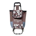 thumbnail image 2 of Carrito Para Mandado Multiusos Plegable Lion Tools 1093 con Bolsa Café, 2 of 5