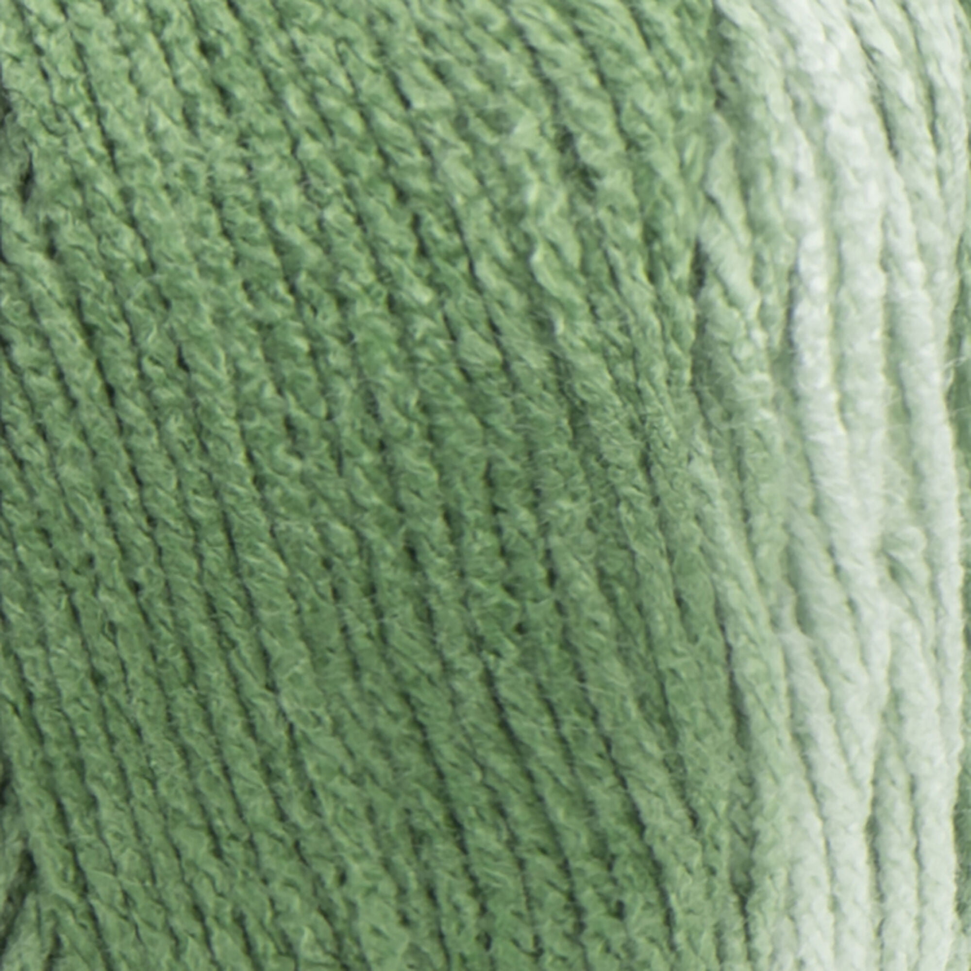 Red Heart Super Saver Ombre Yarn-Green Apple, 1 count - Baker's