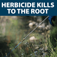 thumbnail image 3 of Airmax Shoreline Defense Emergent Weed Control, EPA-Registered Aquatic Herbicide, 1 Quart, 3 of 8