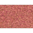 thumbnail image 1 of Ahgly Company Machine Washable Indoor Rectangle Transitional Crimson Red Area Rugs, 5' x 8', 1 of 7
