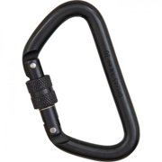 Omega 1/2" Standard "D" Steel Carabiner-Color:Gold,Type:Screw Gate