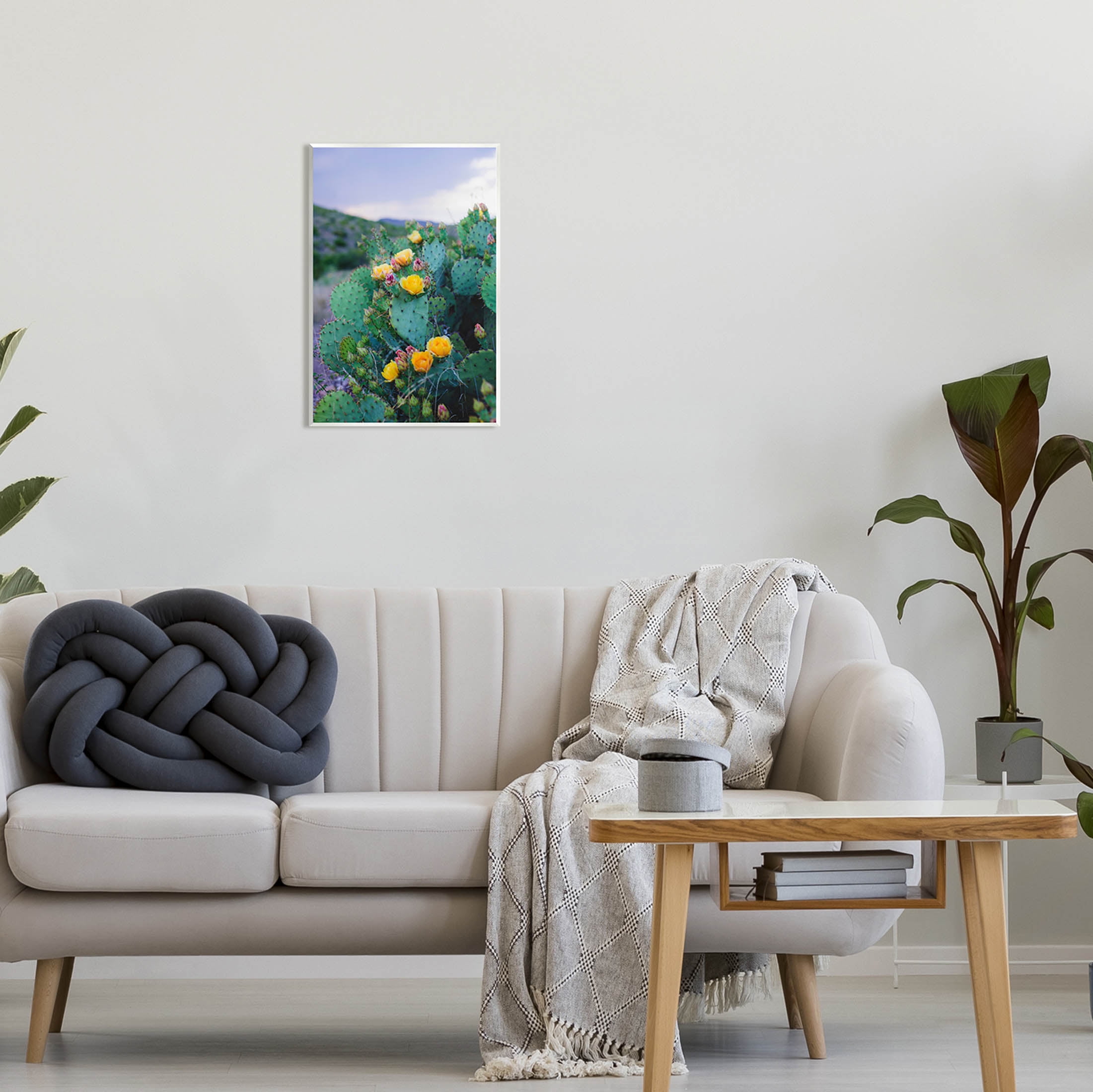 Stupell Industries Vivid Cactus Blossoms Photograph Unframed Art Print Wall Art, Design by Sonja Quintero
