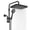Black, variant on Chrome Filtered Handheld Rain Shower Head with 12 Inch Adjustable Extension Arm