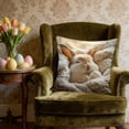 thumbnail image 6 of Pillow Covers 18x18, Easter Decorations Cute Bunny Printed Throw Pillow Covers, Home Spring Decor for Bedroom Couch Cushion Cover, Multicolor, 6 of 7