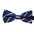 thumbnail image 1 of Maoww Cravate Formelle à Motif Coloré pour Hommes Adulte Homme Affaires Réunion Mariage Fil Polyester Nœud Papillon, 1 of 8
