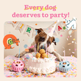 thumbnail image 2 of WOOF Party Pupsicle - Long-Lasting Interactive Dog Toys for Boredom - Low-Mess Design - Birthday Gift Idea - Large Dog Toys - Buddy Blue, 2 of 8