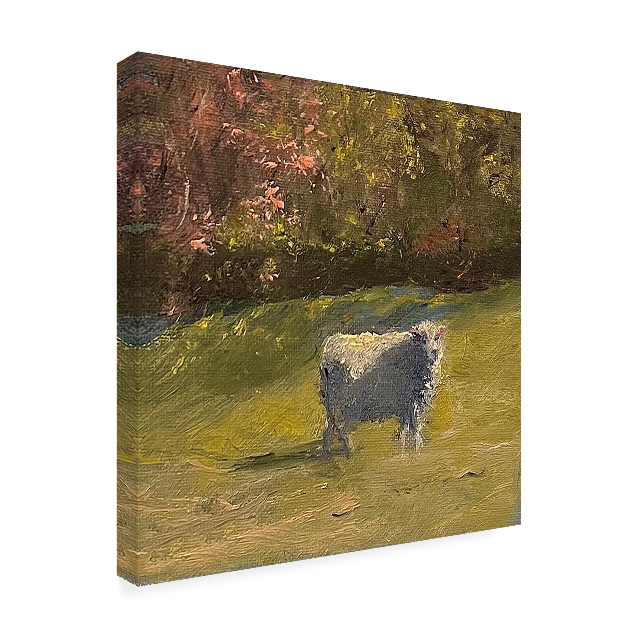 Trademark Fine Art Marilyn Wendling  Sheep in Field IV Canvas Wall Art