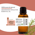 thumbnail image 3 of GreenHealth Cedarwood (Himalayan) Essential Oil 8 fl oz Aluminum Bottle w/ Locking Cap, 3 of 4