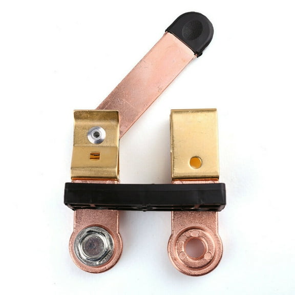 Battery Shut Off Switch