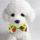 thumbnail image 4 of Collar para perro con pajarita desmontable Collar para perro Collar para perro ajustable, 4 of 5