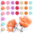 thumbnail image 1 of OULII 50 Pcs Push Pins For Wall Hanging Round Head Push Pins For Cork Board, 1 of 7