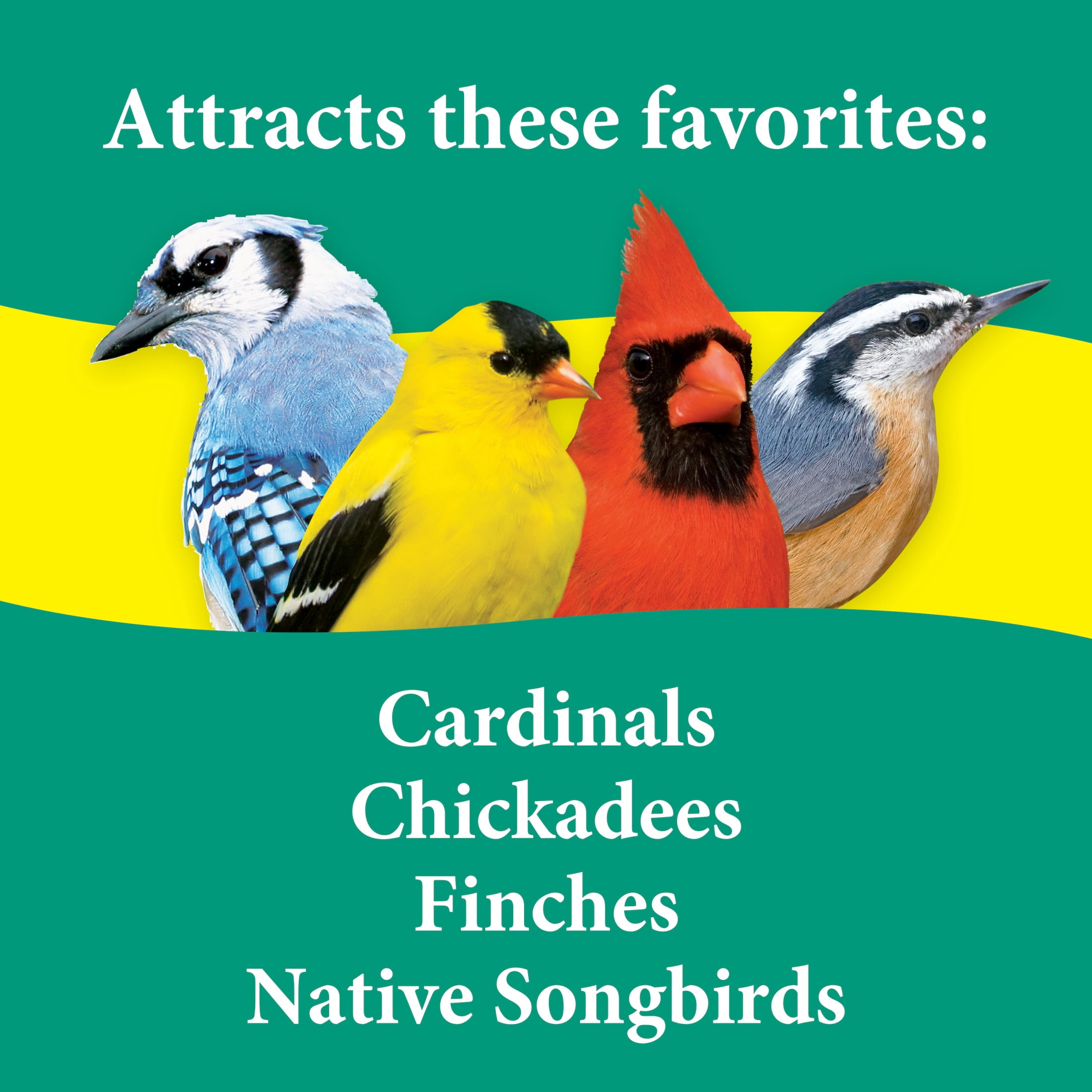3-D Pet Products Premium Songbird Blend Dry Wild Bird Food, 14 lb.; Does Not Contain Fillers, 1 Pack