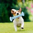 thumbnail image 2 of Juguetes Para Masticar Cachorros Cepillo De Dientes Para Mascotas Juguetes Interactivos Para Perros Cuidado Dental Juguete Para La Dentición Suministros Para Mascotas Minnieouse  PT002648-02, 2 of 6