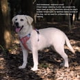 thumbnail image 3 of Pet Harness Vest, Breathable Stylish Lightweight Adjustable Escape Proof Dog Harness  For Training For Walking  S, 3 of 8