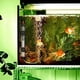 thumbnail image 3 of Aquarium Heater Fish Tank Submersible Heater Turtle Heat Rod With Temperature Display External Temperature Controller, 3 of 5