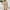 121#Khaki, variant on Dwaogom Women's Casual Bandage Printing Shorts Pocket Outing Jumpsuit Plus Size Fleece Lined Leggings Women Pinkpants