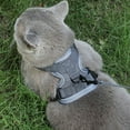 thumbnail image 7 of Summer Cat Chest Cover With Leg Guards Escape Adjustable Soft Mesh Vest For All Types Of Cats, 7 of 7