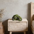 thumbnail image 4 of zhonghuaying Non-Hollow Artificial Rock, Moss Rock, Decorative Rocks, PU Foam Stone for Outdoor Landscaping Yard, Indoor Window Display(9.44x4.72 in), 4 of 7