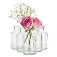 thumbnail image 6 of Farmlyn Creek Narrow Jar Vases - 2.8 in x 5 in, 7.5 oz, 6 Pack, Clear Glass - Apothecary-Style Jars & Glass Bottle Vases for Propagation & Mini Decorative Bottles, 6 of 10