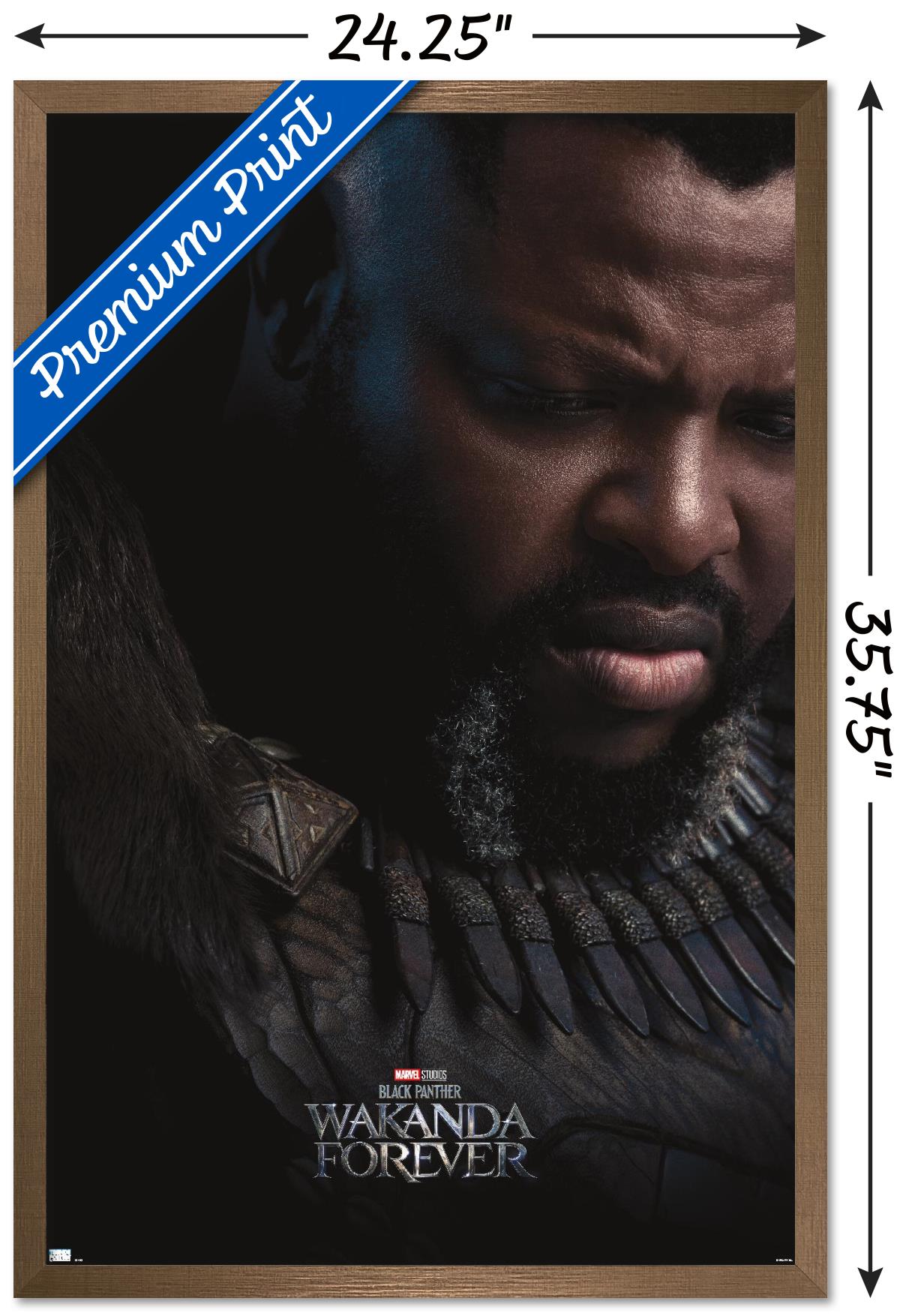 Marvel Black Panther: Wakanda Forever - M'Baku One Sheet Wall Poster, 22.375" x 34" Framed