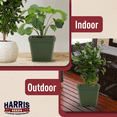 thumbnail image 5 of Harris Seeds - Dillen 4" Square Plastic Plant Nursery Pots - 200 Pots, 5 of 7