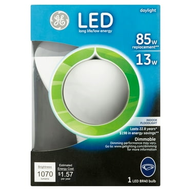 GE Lighting 20445 R40 Daylight LED Indoor Floodlight, 13 Watts