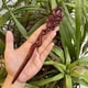 thumbnail image 1 of Horquilla antigua tallada en madera de sándalo rojo lobular, placa para el cabello, artesanías de madera pulida a mano, regalos antiguos de caoba, 1 of 6