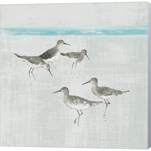 Sandpipers Square I Gray by Avery Tillmon, Canvas Wall Art