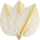 thumbnail image 1 of Hojas de Palma Secas Blancas Grandes - Calidad Premium - 3 Piezas Elegante y Moderno Boho DecoracióN para el Hogar y la Boda - Arte de la Pared, 1 of 5