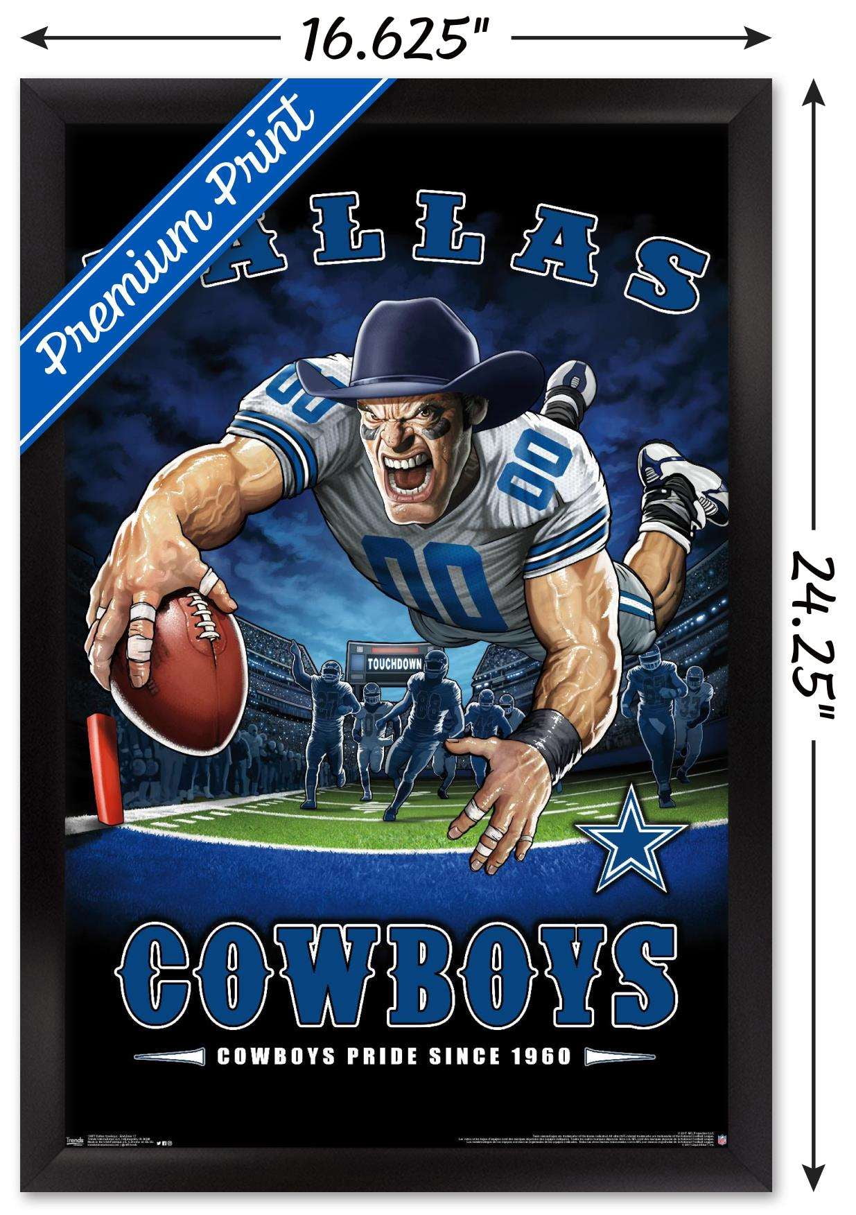 NFL Dallas Cowboys - End Zone 17 Wall Poster, 14.725" x 22.375", Framed