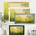 thumbnail image 4 of Designart 'Sunset Field With Herbs and Chamomiles' Traditional Framed Art Print, 4 of 4